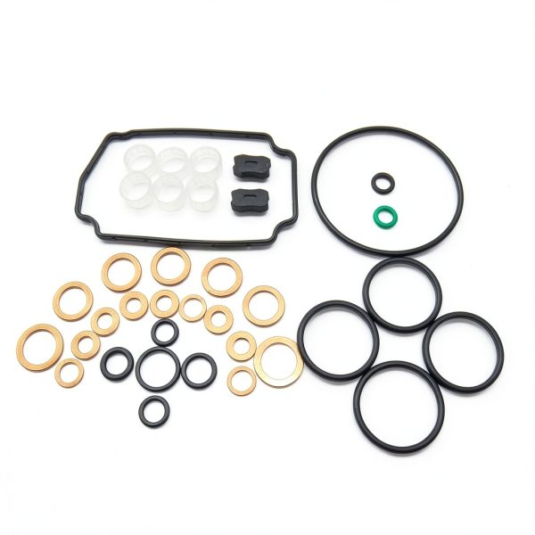 Diesel Fuel Pump Repair Kit by Bluestars Diesel Bds-0