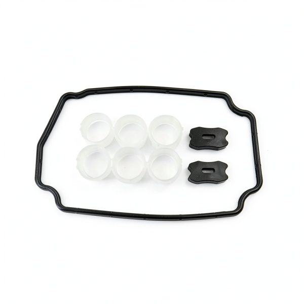 Diesel Fuel Pump Repair Kit by Bluestars Diesel Bds-1