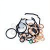 Diesel Fuel Pump Repair Kit by Bluestars Diesel Bds-3